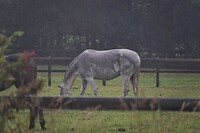 DSC09198-01