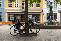 DSC05918
