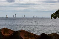 DSC05940