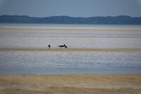 DSC05958