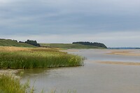 DSC05959