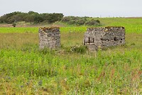 DSC05966