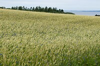 DSC05987