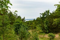 DSC05988