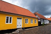 DSC06098