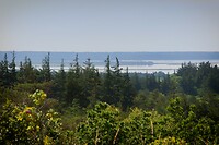 DSC06277