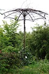 DSC01088-01