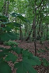 DSC01087-01