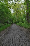 DSC01086-01