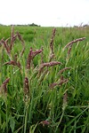 DSC01370-01