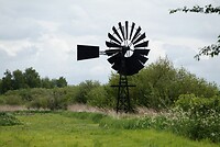 DSC01378-01