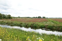 DSC01419-01