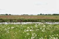 DSC01421-01
