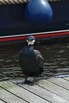 DSC01513-01