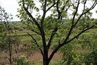 DSC01459-01