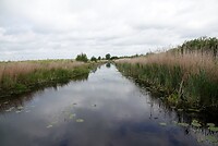 DSC01527-01
