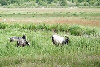 DSC01536-02