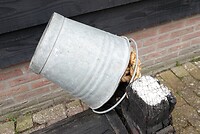 DSC01546-01