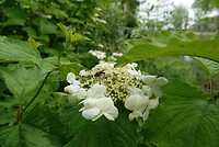 DSC01558-01
