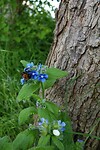 DSC01561-01