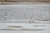 DSC01565-01
