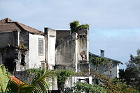 DSC01612