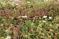 DSC01617-01