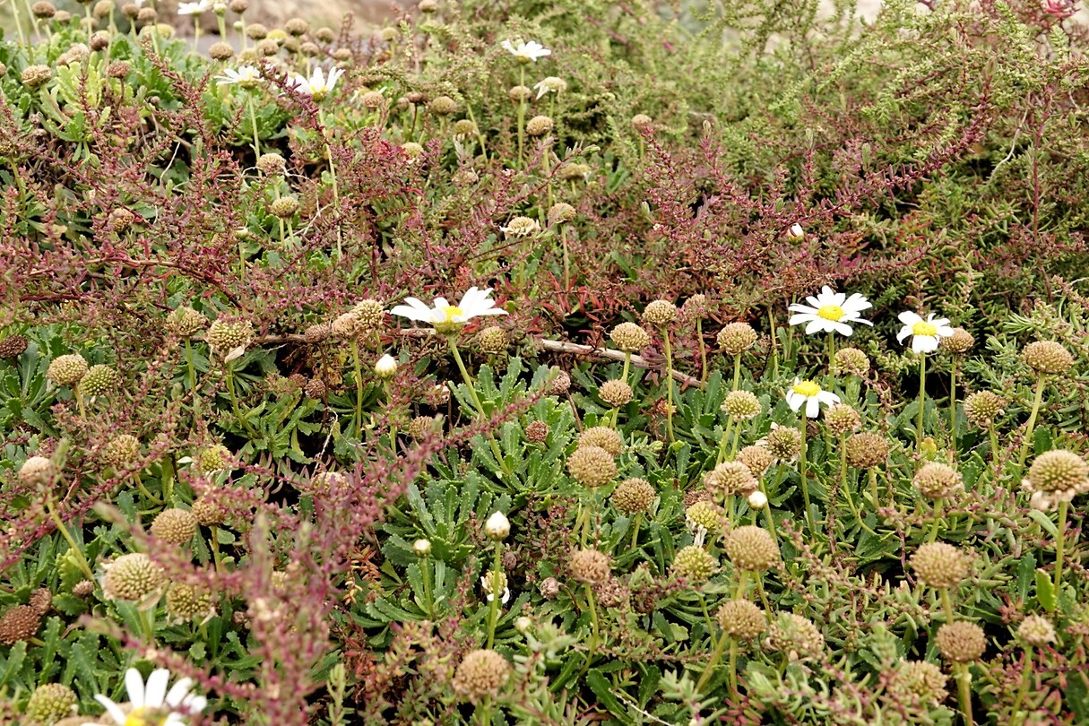 DSC01617-01