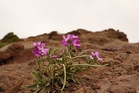 DSC01633-01