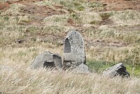 DSC01644-01