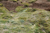 DSC01646-01