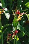 DSC01651-01