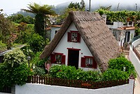 DSC01657-01