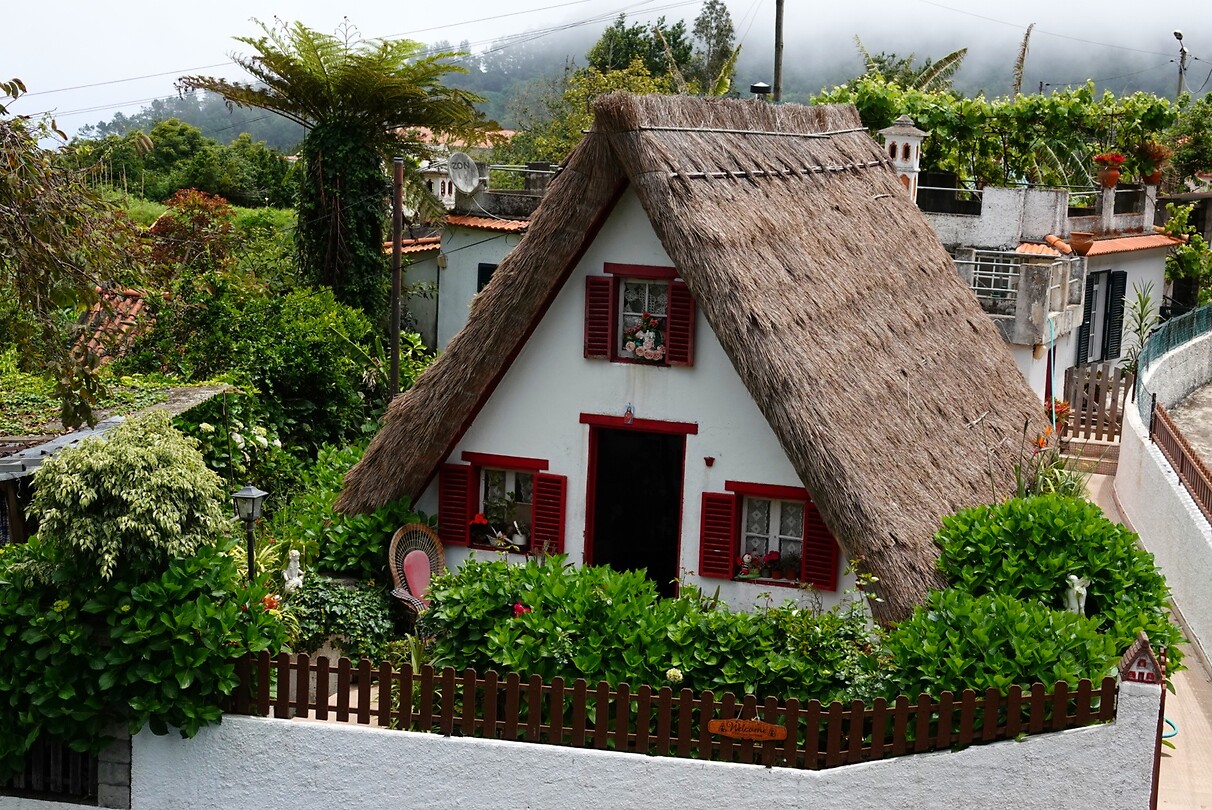 DSC01657-01