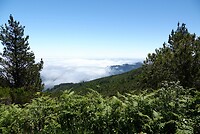 DSC01669-01