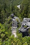 DSC01675-01