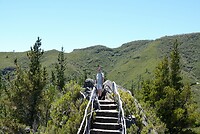 DSC01681-01