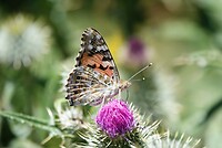 DSC01685-01