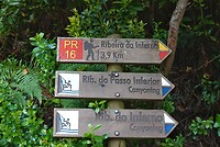 DSC01702-01