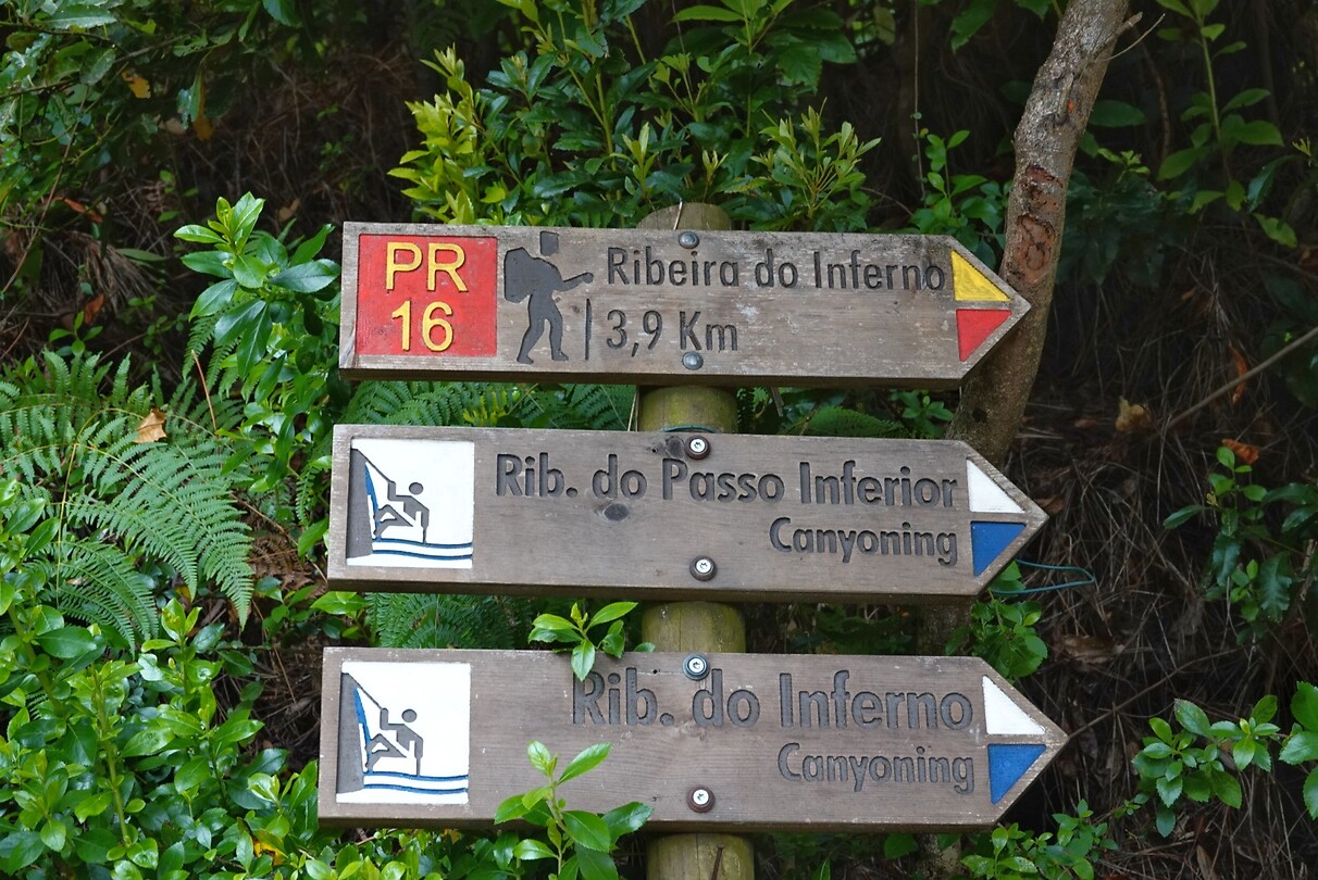 DSC01702-01