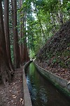 DSC01713-01