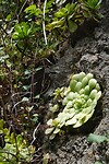 DSC01749-01