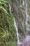 DSC01772-01