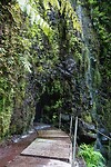 DSC01778-01