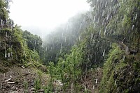 DSC01806-01