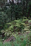 DSC01808-01