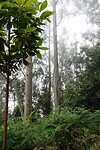 DSC01815-01