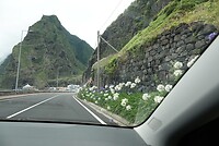 DSC01836-01