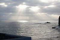 DSC01851-01