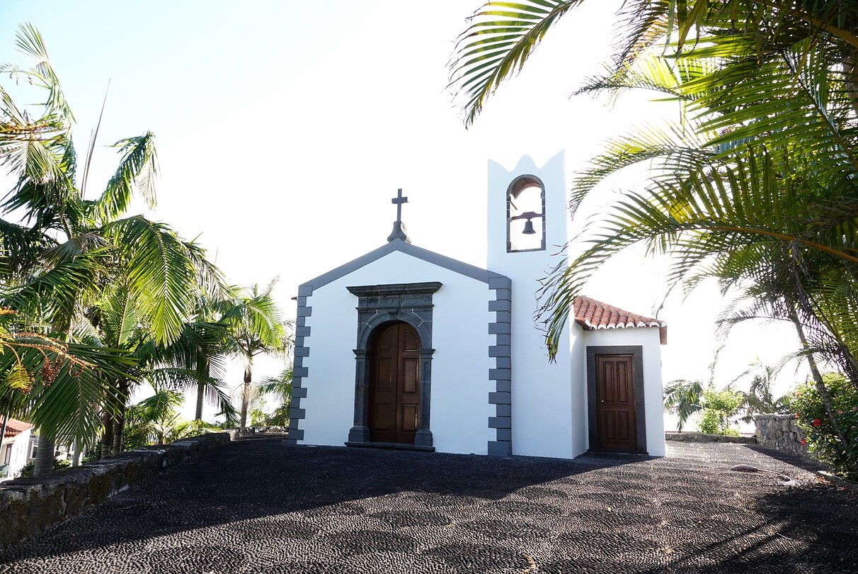 DSC01854-01